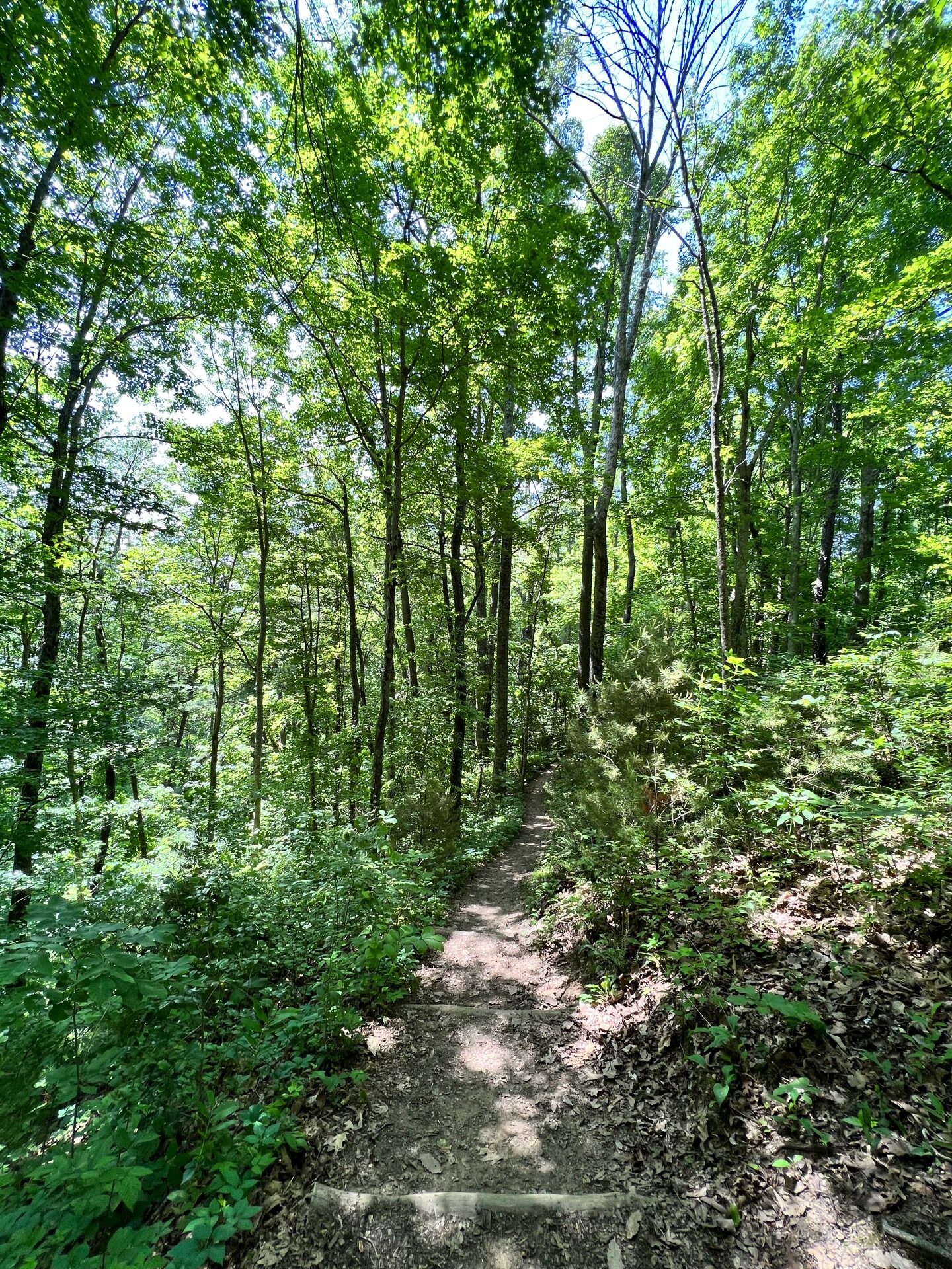 Lake Shore Walking Path