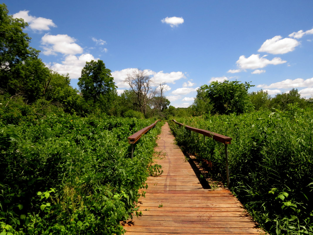 Kishwauketoe Nature Conservancy